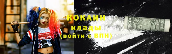 дживик Мегион
