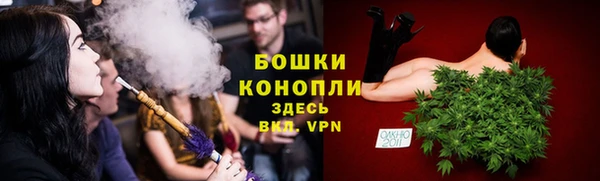 дживик Мегион