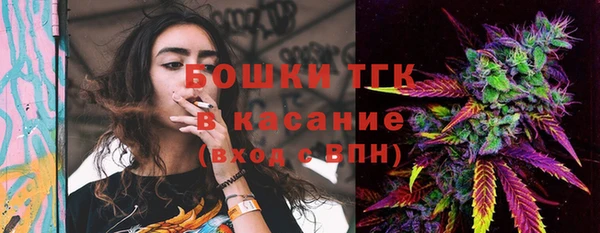 дживик Мегион