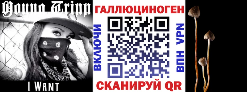 Псилоцибиновые грибы мухоморы  Енисейск 