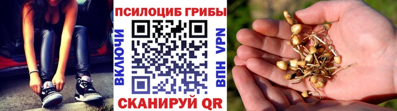Галлюциногенные грибы мицелий Енисейск